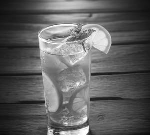 Mint Iced Tea
