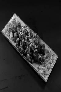 Thai Basil Tofu (new)