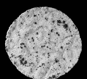 Jolada Rotti
