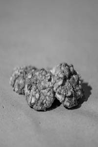Almond Cookies