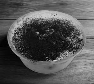Classic Tiramisu 300Ml Cup