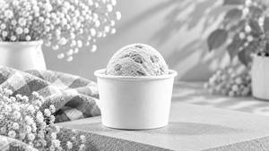 Vanilla Ice Cream