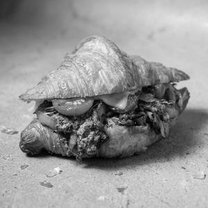 Grilled Mushroom Cherry Tomatoes Croissant Sandwich