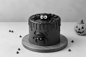 Chocolate Spider Cake 1kg
