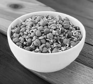 Raw Mix Sprouts Dietry Fibers And Protein 30Gm 250Gm