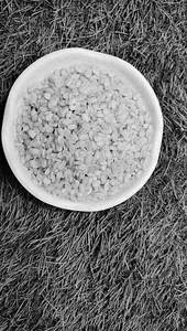 Moong Dal