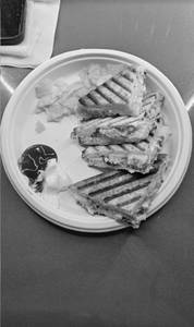 Chicken cheese sandwich