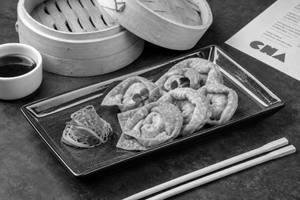 Crispy Veg Wonton