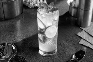 Virgin Mojito