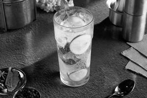 Apple Mint Mojito