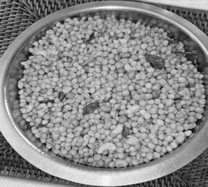 Karam Boondi
