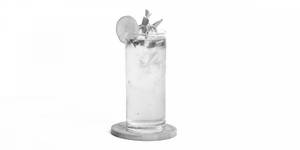 Virgin Mojito (s)