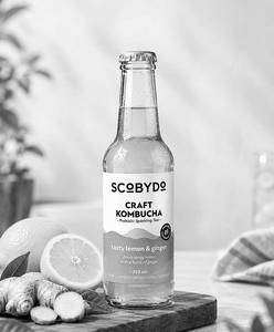 Lemon And Ginger Kombucha