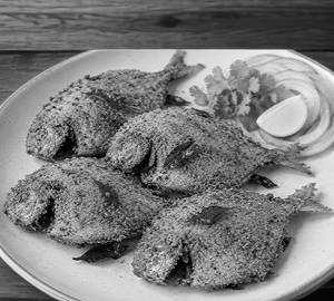 Pomfret Fry
