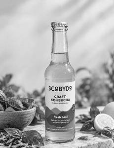 White Tea With Basil Kombucha