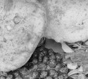 Delhi Wale Chole Bhature