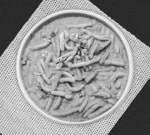 Sev Bhaji