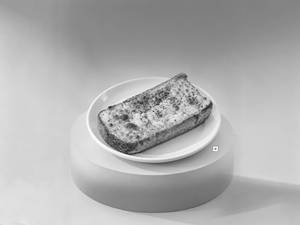 Garlic_Marinara_Toasty