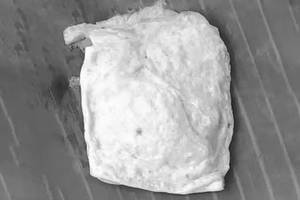 Plain Kalakki