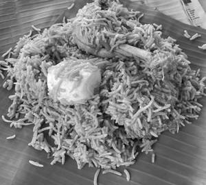 Chicken biryani