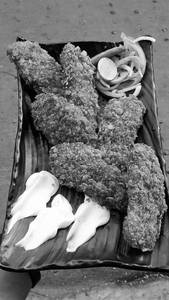 Crispy Fry Chaap