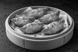 Crispy Veg Wontons