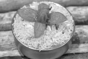 Handi Biryani