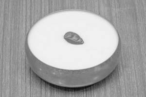 Plain Curd