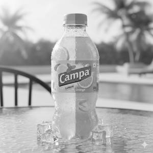 Campa Cola /Lemon/Orange 500 ml