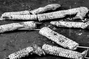 Baby Corn Angara