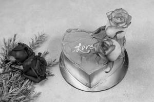 Valentine's Day Lovers Special Bento Cakes [300 G]