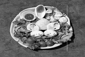 White Rabbit's Lunch