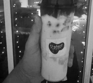 New Plymouth Yoghurt 100 Grams                         