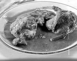 Oyster Chicken