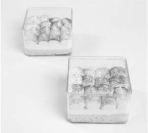 Tres Leches Pastry