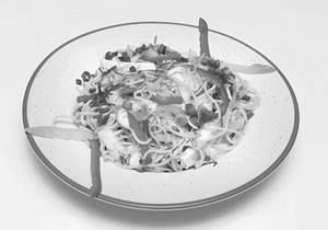 Veg Hakka Noodles