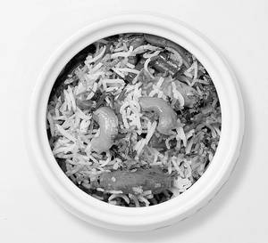 Veg Pulao (250ml) (serves 1)