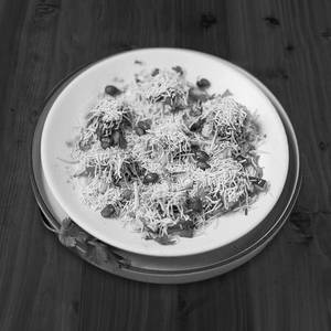 Special Bombey Sevpuri
