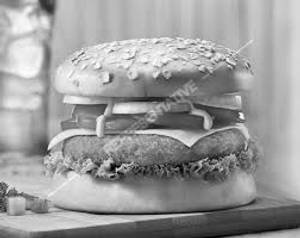 Mexican Burger