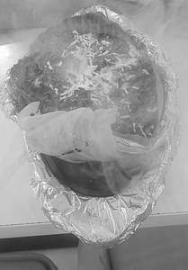 Paneer Angara