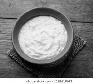 Plain dahi