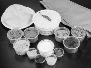Andhra Veg Single Meals Pack - Serve For One