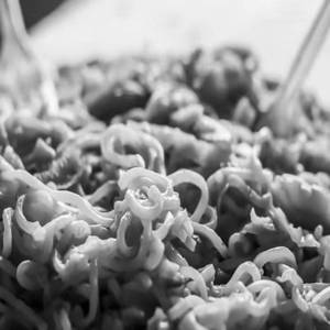 Veg Maggie