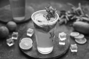Mint Mojito