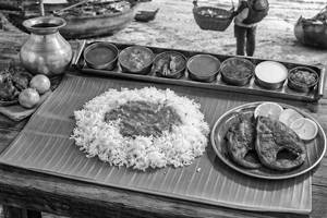 Fish Meals