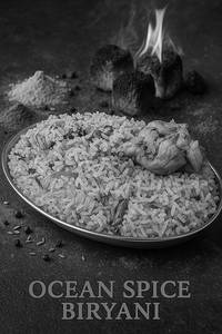 Ocean Spice Chicken Biryani[half]