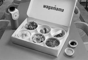 firecracker box - vegetarian