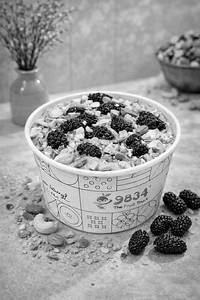 Mulberry Cream With Dry Fruits