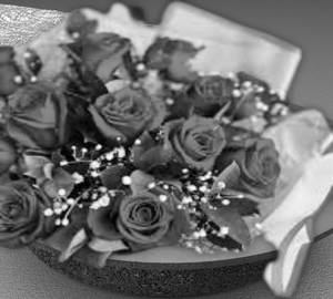 Red Rose