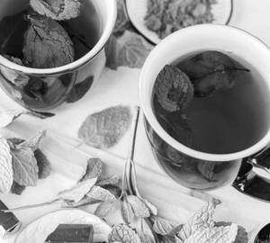 Spearmint and chocolate